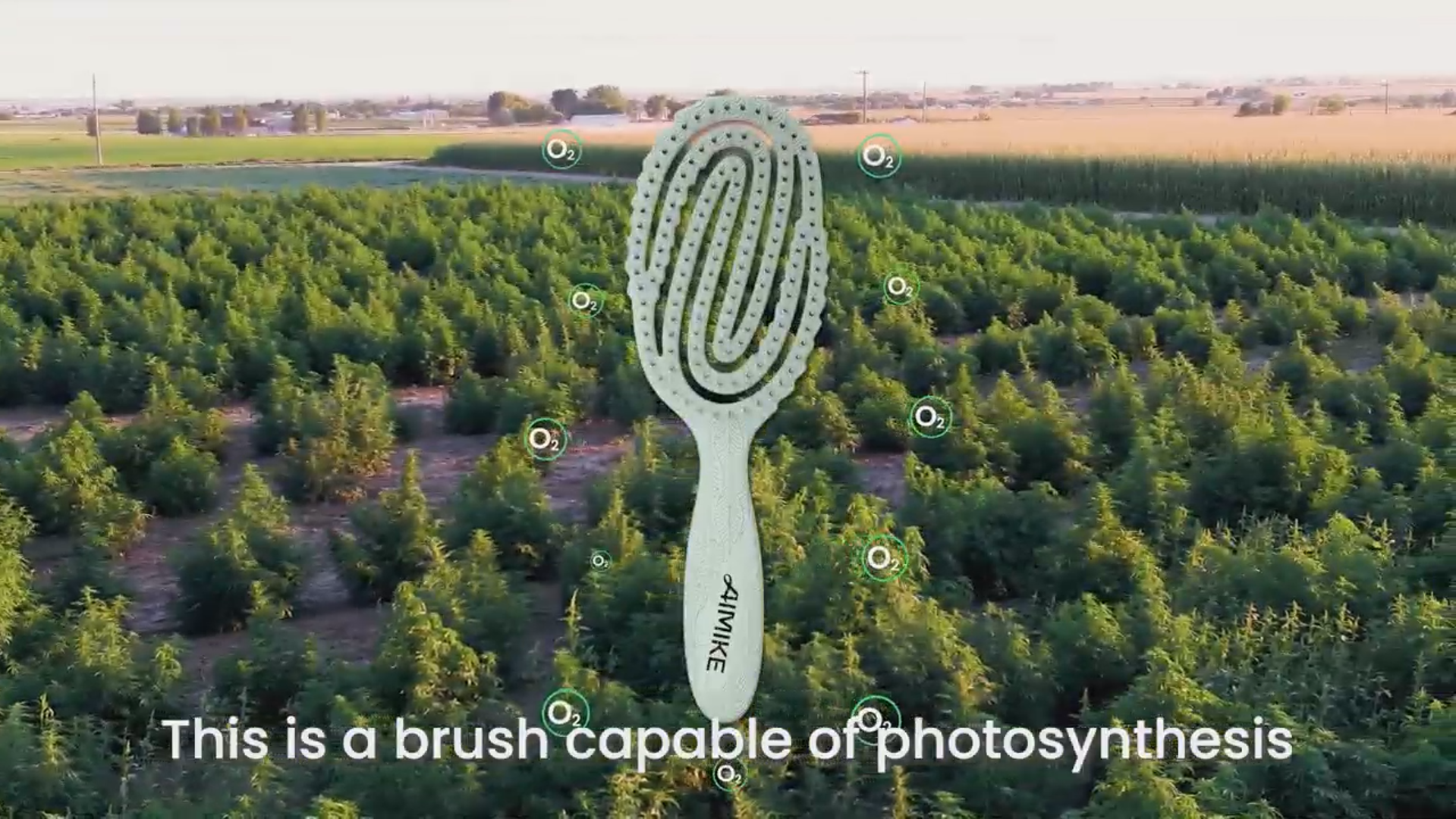 Amazon.com : AIMIKE Hemp-Relax Detangler Hair Brush, Eco-Friendly